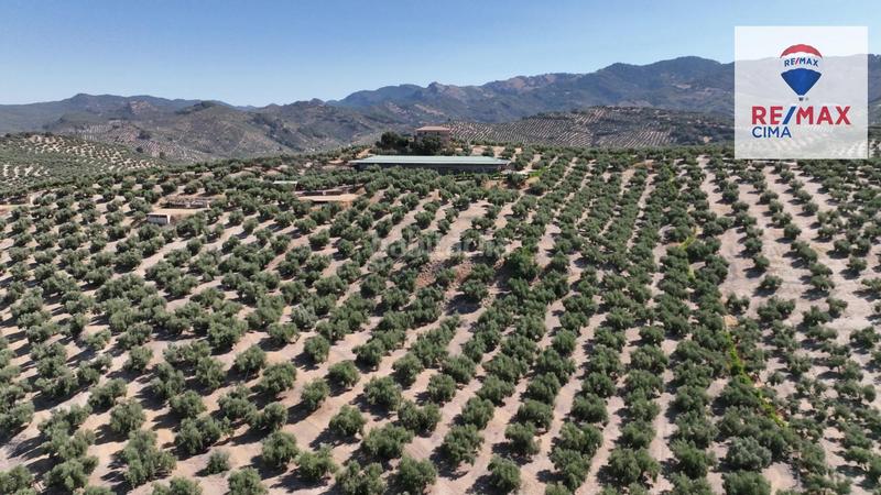 Foto 2fdf511d-4876-4a4e-9f88-7bc21b2c8dff. Finca rústica en camino diseminados 41 fincas en cazorla en Iruela (La)