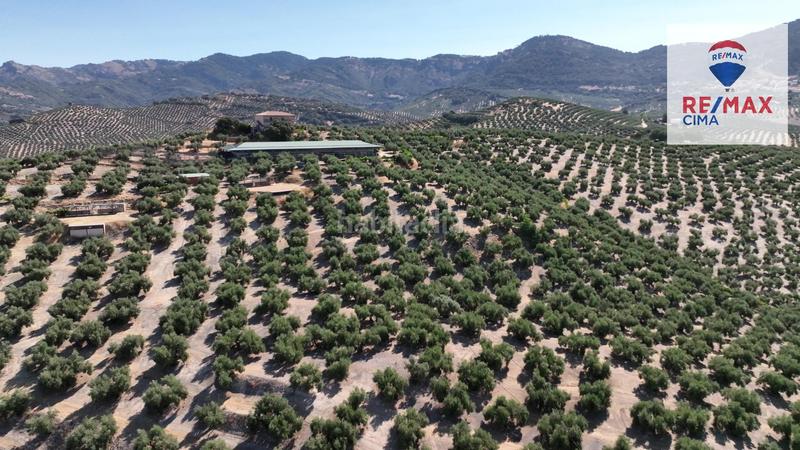 Foto 7b944b75-3783-4a15-b694-b3aada3c068c. Finca rústica en camino diseminados 41 fincas en cazorla en Iruela (La)