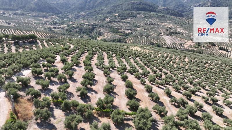 Foto 8668ad08-fdde-402f-b005-013d1effe245. Finca rústica en camino diseminados 41 fincas en cazorla en Iruela (La)