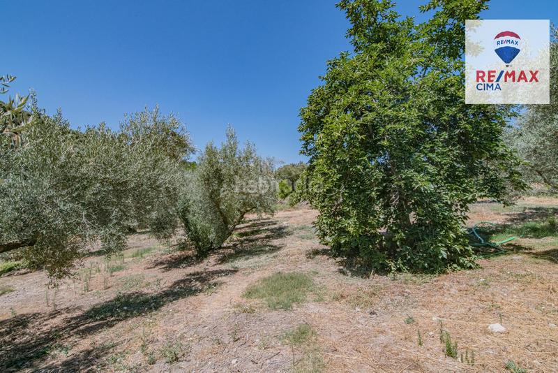 Foto 937eb7ff-ca63-4b0b-b59a-0280d1ff4b1f. Finca rústica en camino diseminados 41 fincas en cazorla en Iruela (La)
