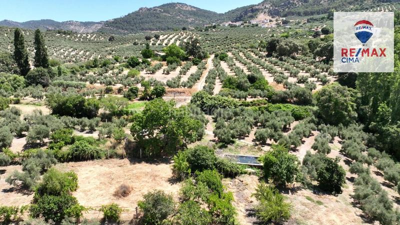 Foto a36ba1af-cbb6-43f2-a479-ae1c1c531ce9. Finca rústica en camino diseminados 41 fincas en cazorla en Iruela (La)
