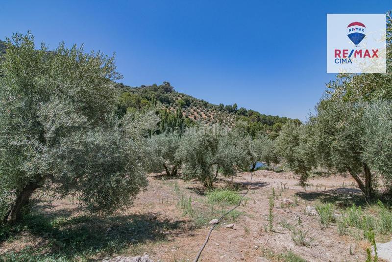 Foto bcf6002e-cf14-4c51-bc0e-fc0c646b0d5c. Finca rústica en camino diseminados 41 fincas en cazorla en Iruela (La)