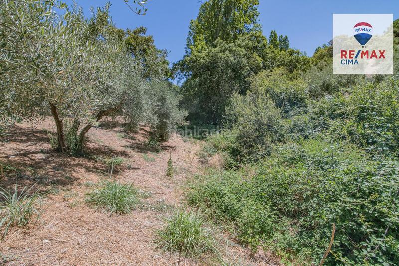 Foto c8be4f06-c241-4135-8e10-6de82fb9c0a5. Finca rústica en camino diseminados 41 fincas en cazorla en Iruela (La)