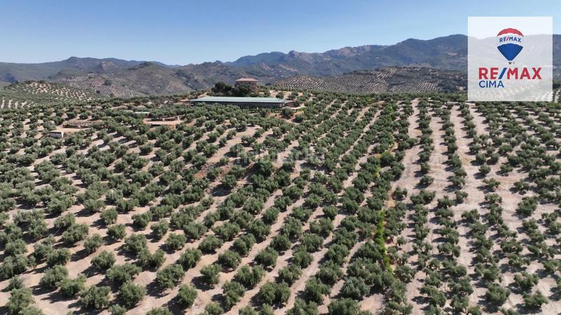 Foto ec8e38dd-168a-4dde-80a1-891c6f846335. Finca rústica en camino diseminados 41 fincas en cazorla en Iruela (La)