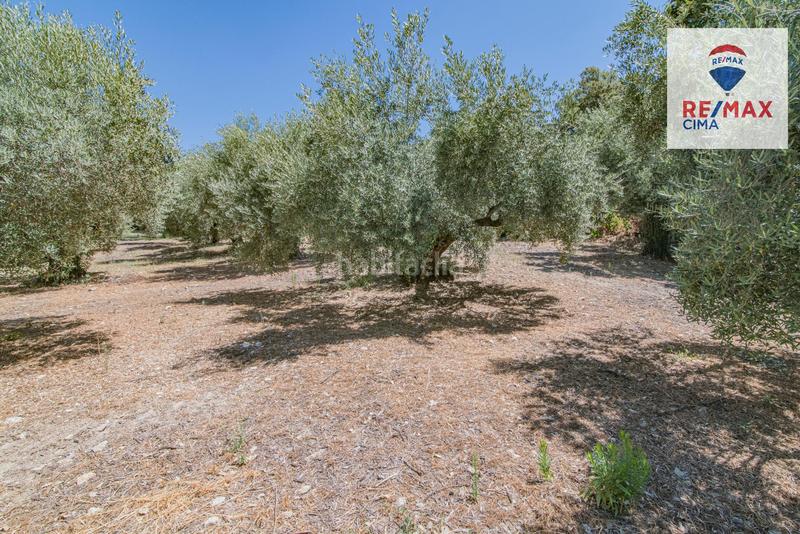 Foto f6d187e1-b2cc-4117-a17e-dce63d38eb8c. Finca rústica en camino diseminados 41 fincas en cazorla en Iruela (La)