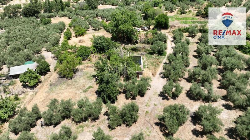 Foto f8966f55-3098-4be8-9e91-552a5e6e71fd. Finca rústica en camino diseminados 41 fincas en cazorla en Iruela (La)