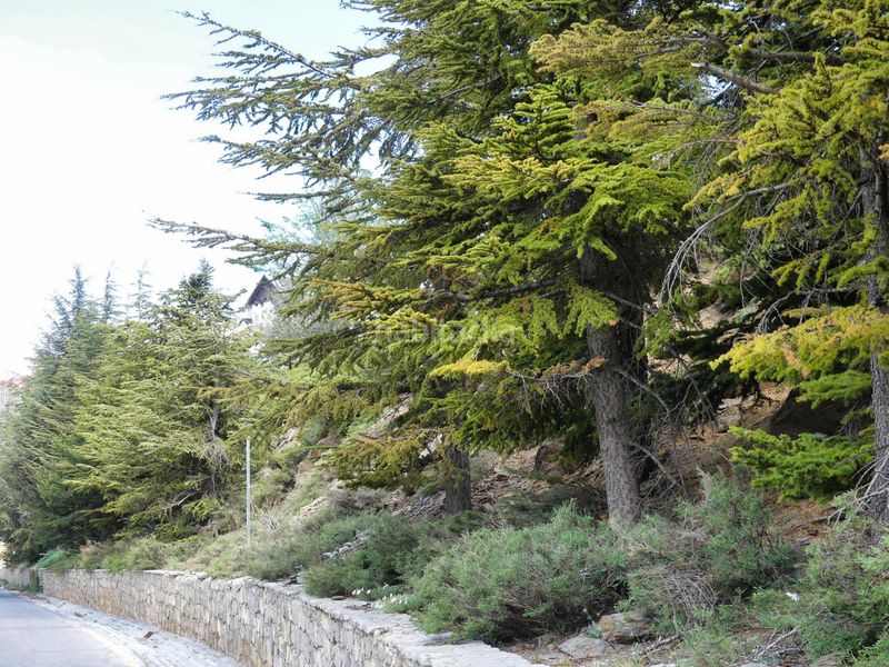 Foto 65a85058-e836-4667-8a06-aa8de3807077. Apartament amb calefacció aparcament a Zona alta Sierra Nevada