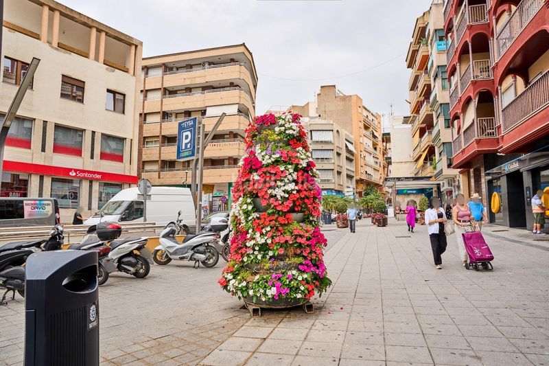 Foto 8316eb84-ea05-4252-a826-ff5cd5b6bd19. Pis a Motril ciudad Motril