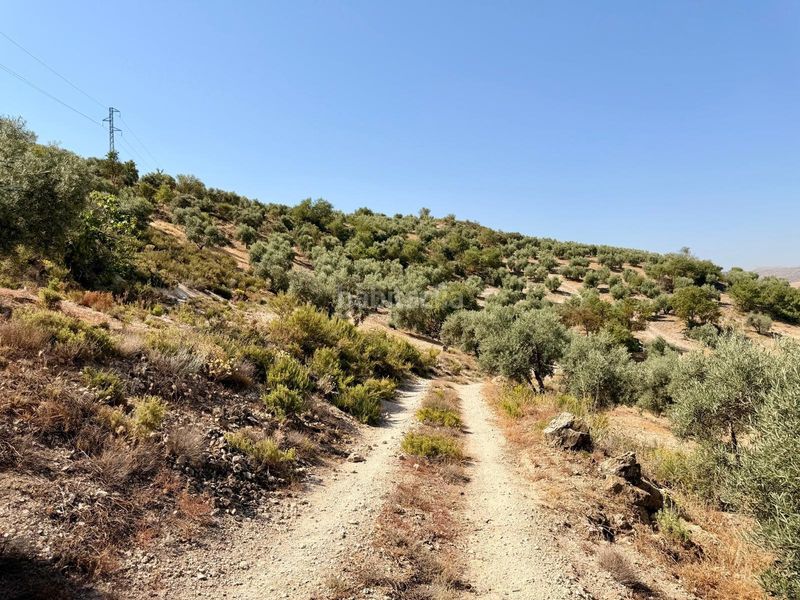 Foto 00eaebb5-723e-46fa-9661-44229207eb21. Finca rústica a Salar 11 a Salar