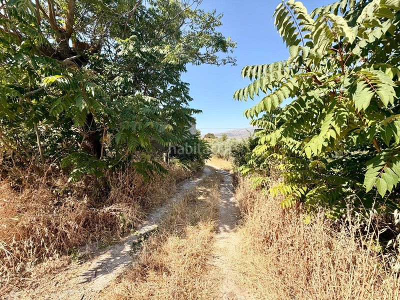 Foto 24c9a26a-acd4-4c9a-bef8-bb381d96f9b0. Finca rústica a Salar 11 a Salar