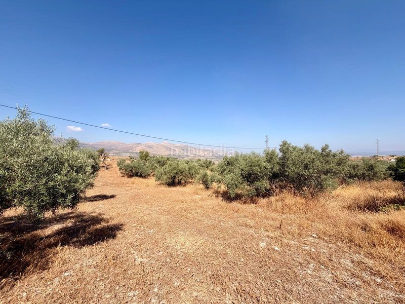 Foto 4f609388-d036-4fd2-9e0d-859f58375810. Finca rústica a Salar 11 a Salar
