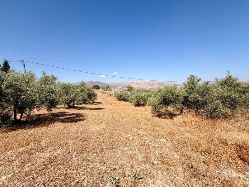 Foto d2481495-972e-4c5b-92f5-07e8140650c0. Finca rústica a Salar 11 a Salar