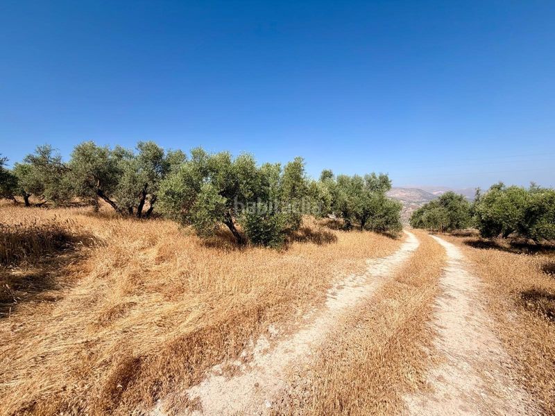 Foto f3f663d2-79f8-4697-8ce3-e66e5479192f. Finca rústica a Salar 11 a Salar