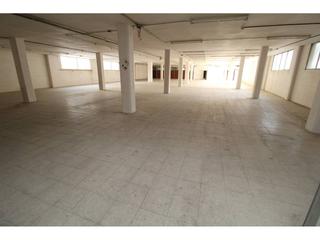 Location Bureau  Cami ral. Oficina en alquiler en pla den boet