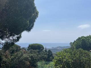 Terreny residencial  Talaia. Platja daroterreno