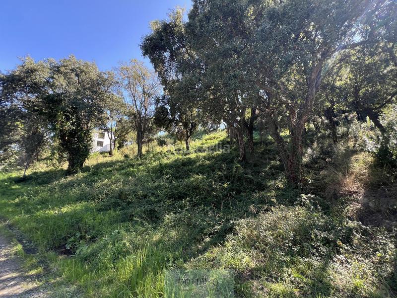 Foto 1ebfa337-af88-4ef6-8321-d12c193152d7. Terreny residencial a Urbanitzacions Platja d´Aro