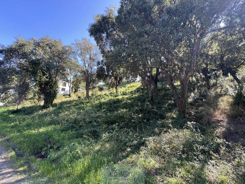 Foto 2ed3dd64-db9d-4ed3-9f2d-b90a5bf58f12. Terreny residencial a Urbanitzacions Platja d´Aro