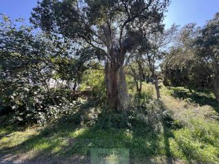 Terreno residencial  Guineu. Platja daroterreno