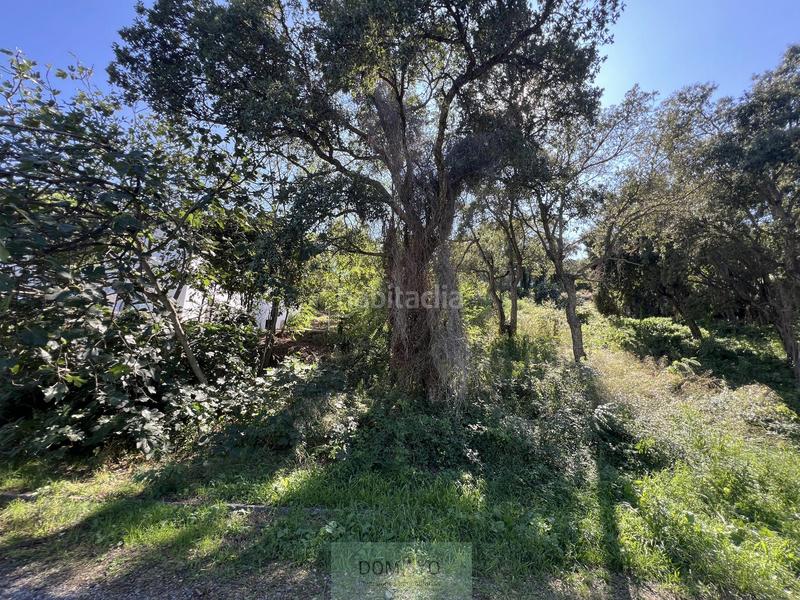 Foto 96d6887e-0347-4655-b91d-f1d7c7f0e223. Terreny residencial a Urbanitzacions Platja d´Aro