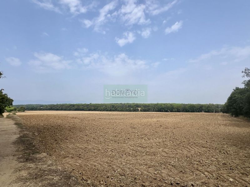 Foto 7f95b1c7-54d7-48d4-a114-7787fd86a84c. Terreny residencial a Caldes de Malavella