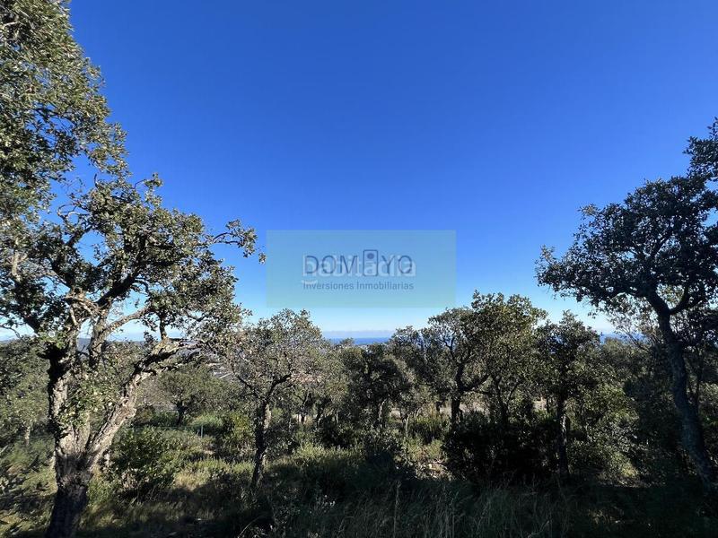 Foto 511cee57-6f96-4a49-ac25-6193c63c6cab. Terreno residencial en mas nou 261 platja daroterreno en Platja d´Aro