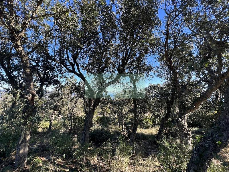 Foto 6cfb47ea-6c7f-44d2-b385-aea4b083cab6. Terreno residencial en mas nou 261 platja daroterreno en Platja d´Aro