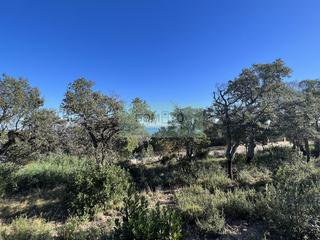 Terreno residencial en Mas nou 261. Platja daroterreno