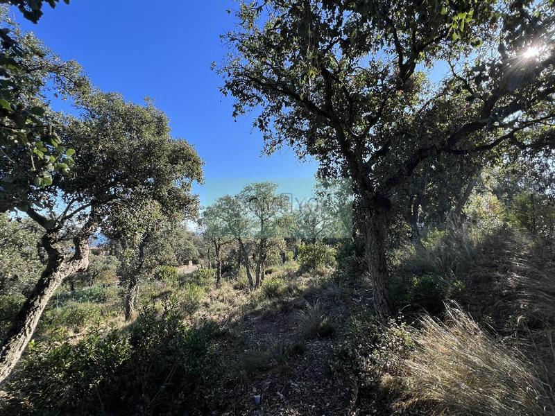 Foto 80e776e8-31d2-490f-9777-21a7912d577f. Terreno residencial en mas nou 261 platja daroterreno en Platja d´Aro