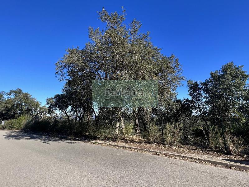 Foto c94effd8-09a2-4edf-86a3-df27a86df2b9. Terreno residencial en mas nou 261 platja daroterreno en Platja d´Aro