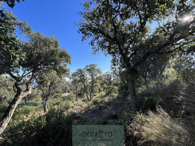 Foto f770dd90-828a-4f63-b191-6cf8e6de4216. Residential plot in mas nou 261 in Urbanitzacions Platja d´Aro