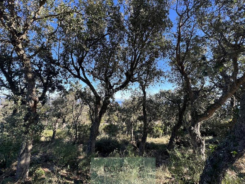 Foto ff78293e-8ab9-490a-b19b-c544075aa2d3. Residential plot in mas nou 261 in Urbanitzacions Platja d´Aro