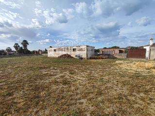 Finca rústica  Calle camino de roma. Parcela en venta
