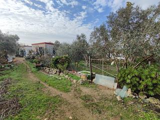 Finca rústica a El Juncal - Vallealto. Terreno en venta zona venta el cepo