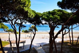 Appartement dans Passeig de pau casals 104. Apartamento en primera linea de playa la pineda