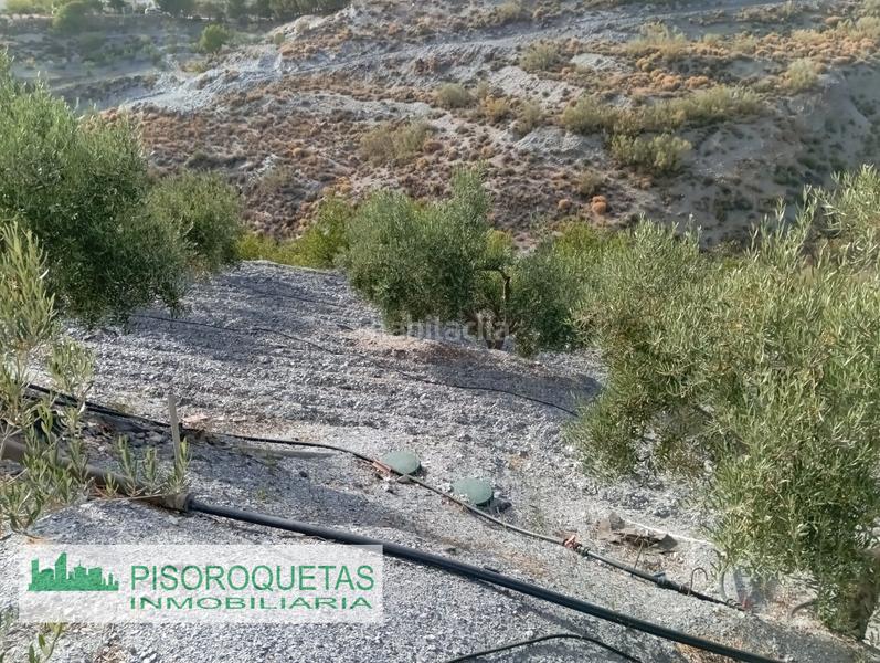 Foto 25c123ee-7d2b-4a42-b7a6-864b6b2ec023. Masía cortijo en Felix