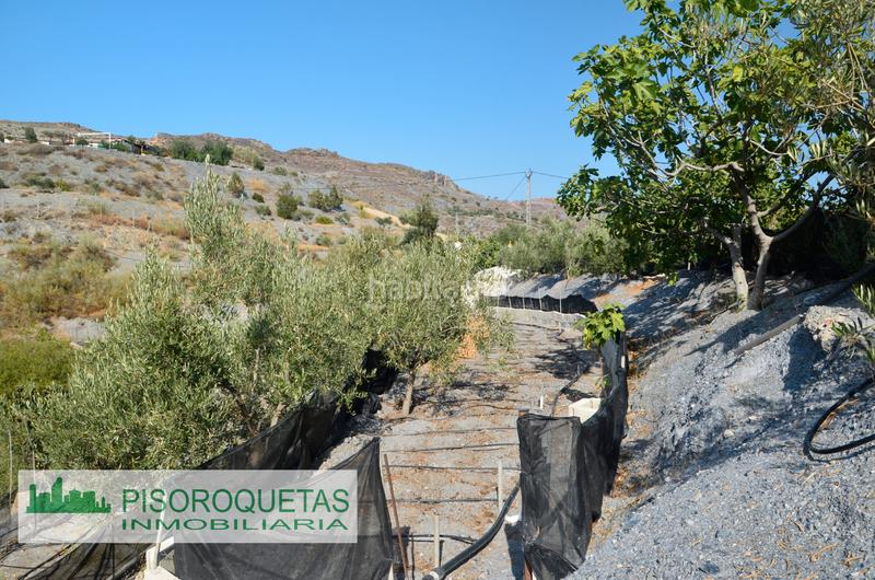 Foto 33d5fa99-c1d3-4ef3-acca-78af77dc70a4. Masía cortijo en Felix