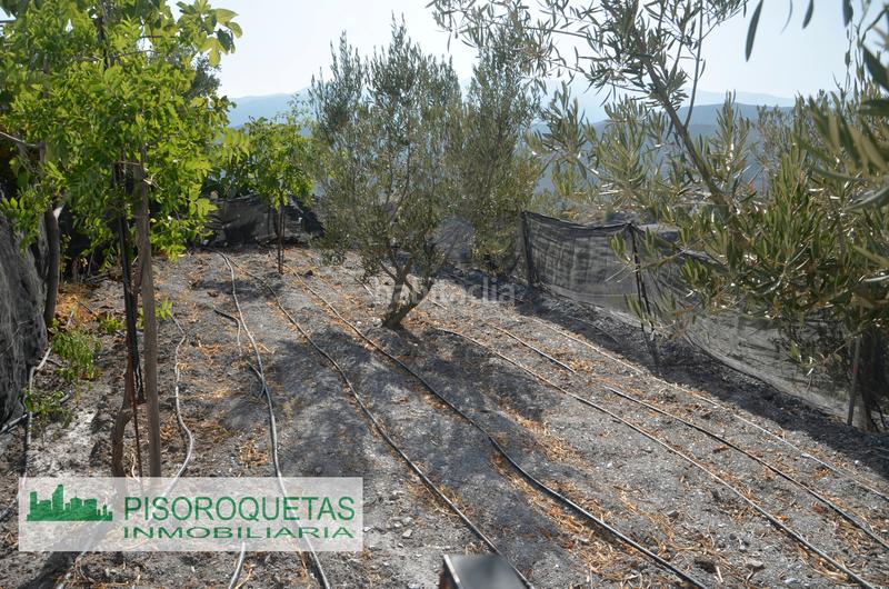 Foto 91690083-6059-498d-a0a7-efe2d6edbef0. Masía cortijo en Felix