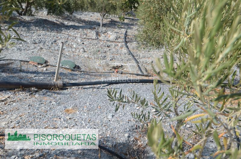 Foto 98cced89-2aa3-454f-a369-bbd8856d06d5. Masía cortijo en Felix