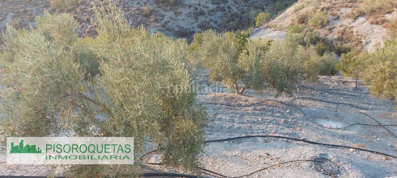 Foto 998c8f07-5f97-43df-8f0b-543988560366. Masía cortijo en Felix