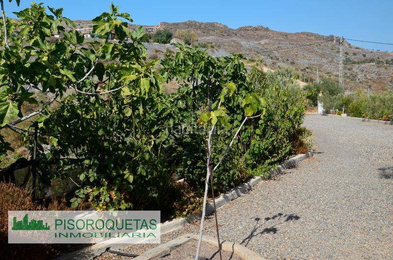 Foto a2bff4e5-0b26-401b-9320-9f06d5f46bed. Masía cortijo en Felix