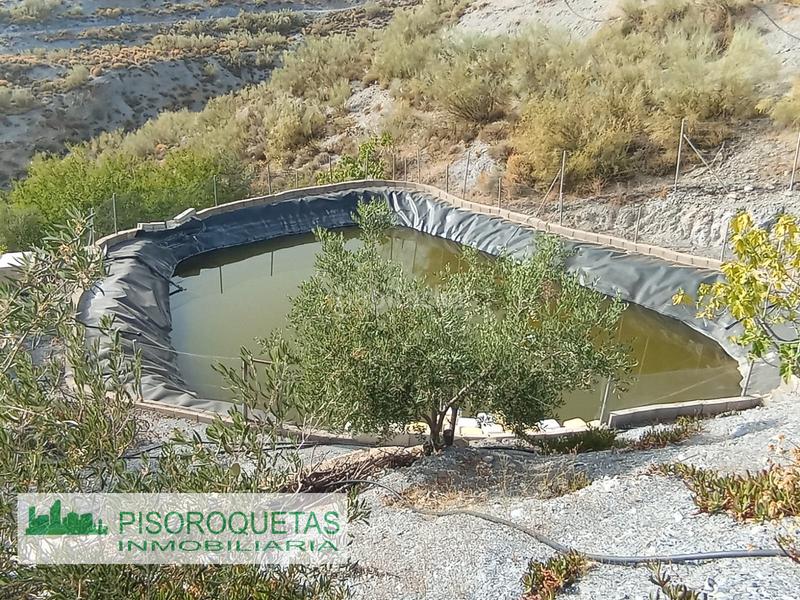 Foto aeca7dd6-5a31-4f34-a93f-16f7dab5e71c. Masía cortijo en Felix