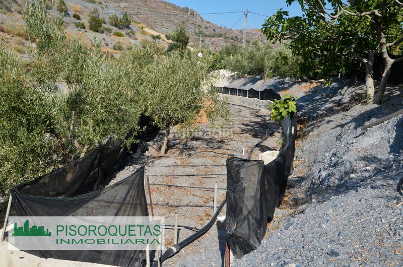 Foto d18a3bdf-3c53-4309-9f11-ad0699df721f. Masía cortijo en Felix