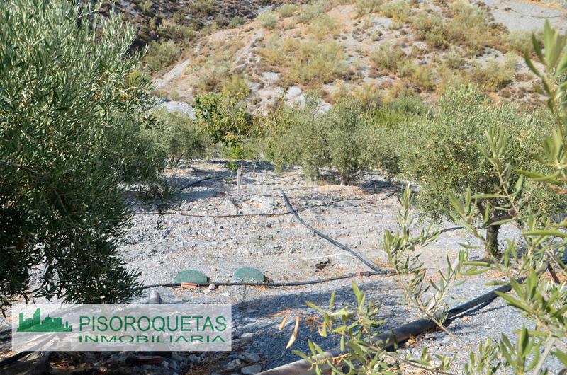 Foto ee36f2df-b871-4500-a206-de417f402ebe. Masía cortijo en Felix