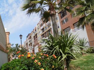 Lloguer Pis  Calle alemania. Rsd. aquariun