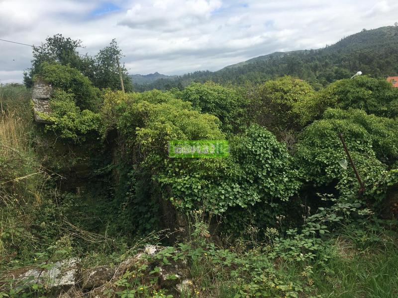 Foto 4d63d31b-c06d-4c66-9609-990d7b4e492e. Residential plot in Cotobade