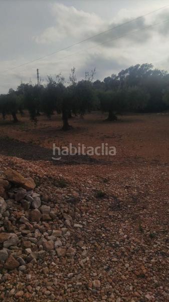 Foto aac1973b-46b8-47c4-8ba0-22986fc949b5. Fondo rustico in Pueblo Benicarló