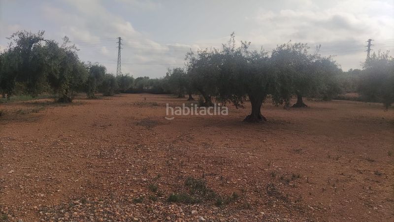 Foto 81b5d9a2-0a7d-481e-b838-66214b4e8b78. Finca rústica a Pueblo Benicarló