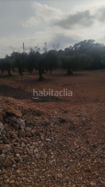 Foto aac1973b-46b8-47c4-8ba0-22986fc949b5. Finca rústica a Pueblo Benicarló