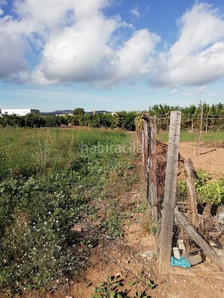 Foto a14251a2-13eb-46c9-81fe-5334ba0ed4f5. Propriété dans poligono 11 836 dans Pueblo Benicarló