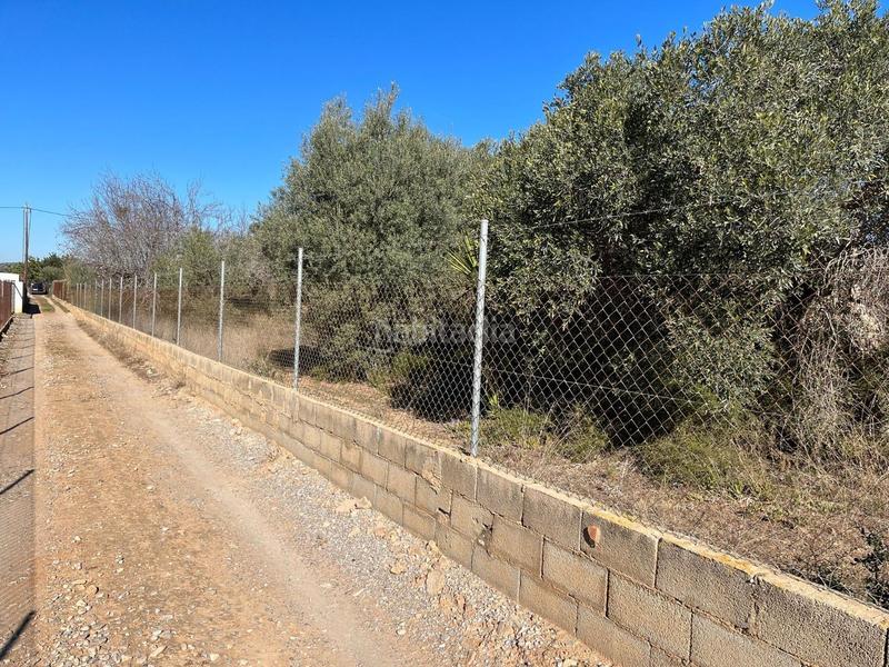 Foto 0fc17c87-1f96-47db-946f-f9b68702b98a. Casale in Pueblo Benicarló